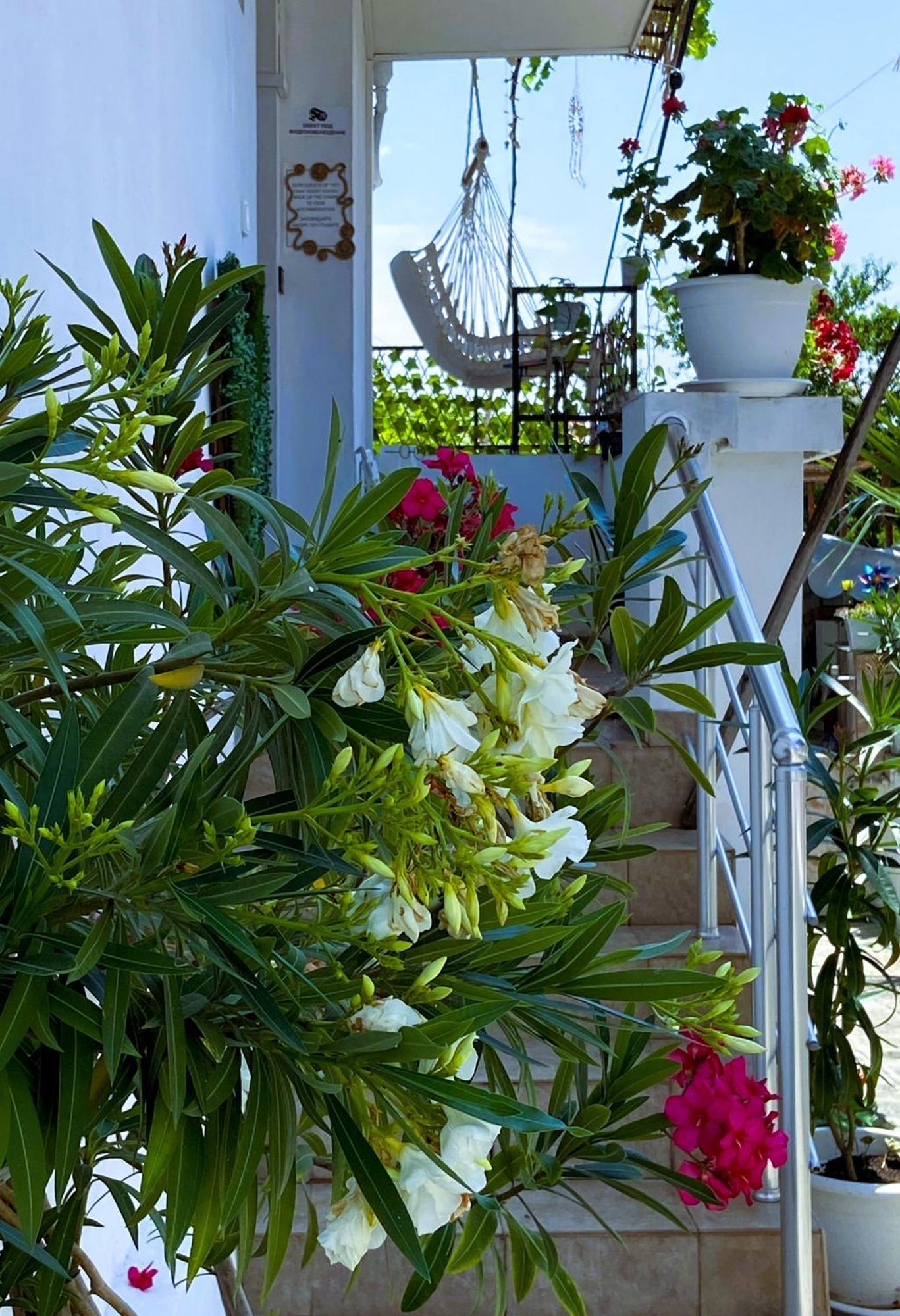 Guest House Hei Taka Sozopol Ngoại thất bức ảnh
